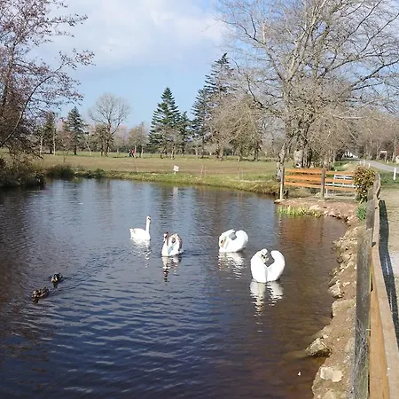Grove House Accomodation Bed & Breakfast Shanballymore