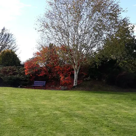 Grove House Accomodation Bed & Breakfast Shanballymore