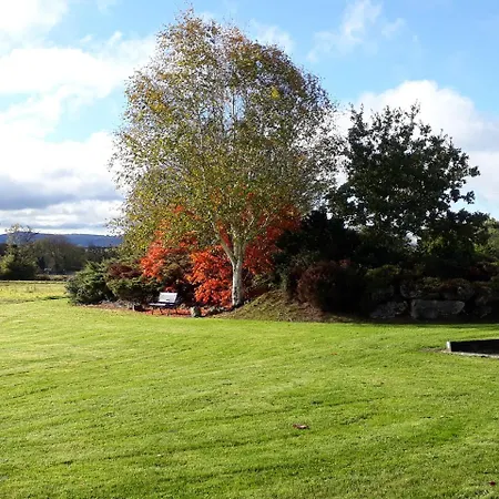 Bed & Breakfast Grove House Accomodation
